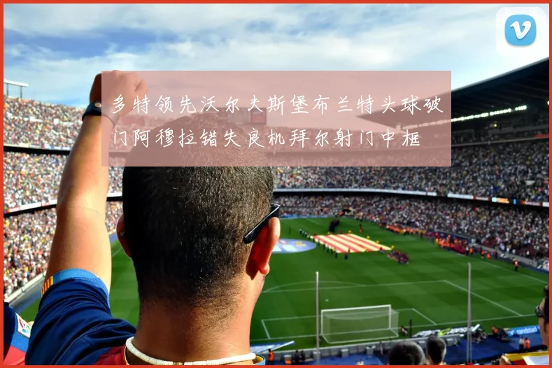 多特领先沃尔夫斯堡布兰特头球破门阿穆拉错失良机拜尔射门中框