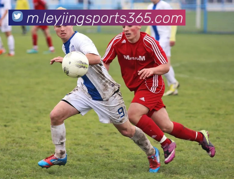 App Interface Preview