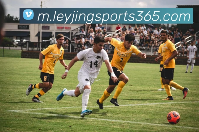 乐竟体育APP 封面图